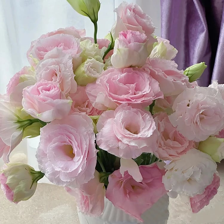 🔥Last day clearance💐Eustoma Thornless Rose-Over 12 kinds mixed