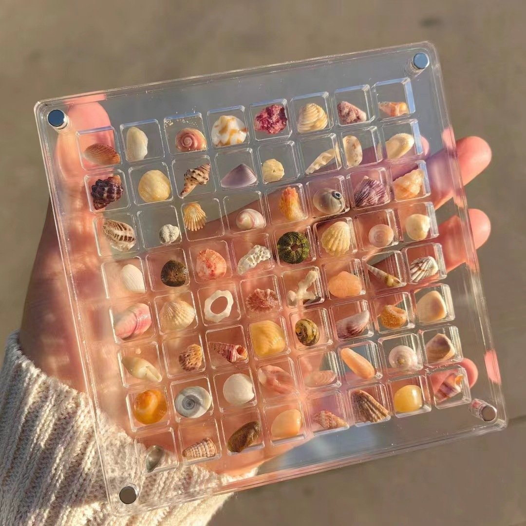 Last Day 50%-Acrylic Magnetic Seashell Display Box